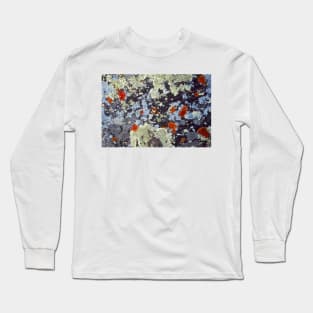 Lichens On Rock Long Sleeve T-Shirt